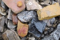 Discover & Adventure Program: "Rock Hounds"