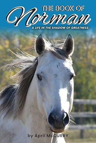 FOL Presents: Author Presentation - April McCurry