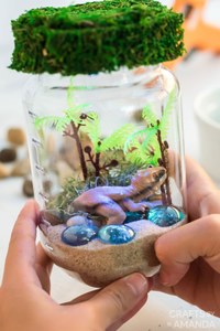 Garden Club Presents: Dinosaur Terrarium
