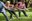 Library in Motion: Tai Chi Movements